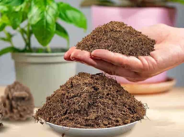 تصویر 3 از کود ارگانیک برای گیاهان آپارتمانی تقویت کننده ریشه و برگ